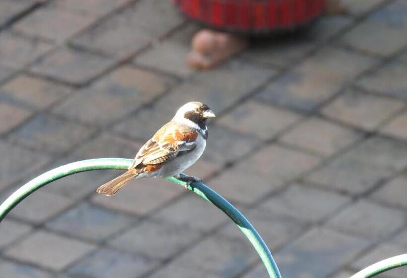 بنسيون At Whale Phin Guest House