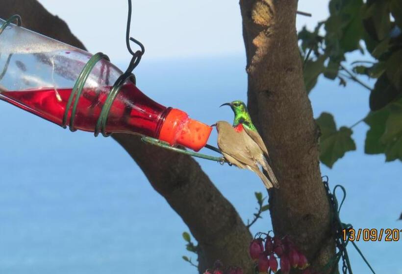 بنسيون At Whale Phin Guest House