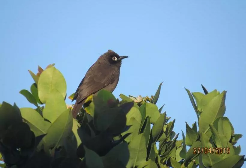 Majatalo At Whale Phin Guest House