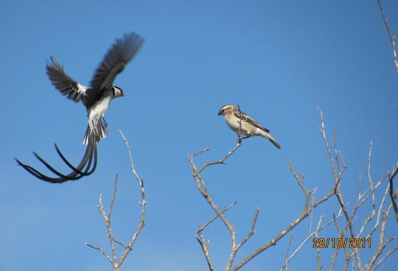 بنسيون At Whale Phin Guest House