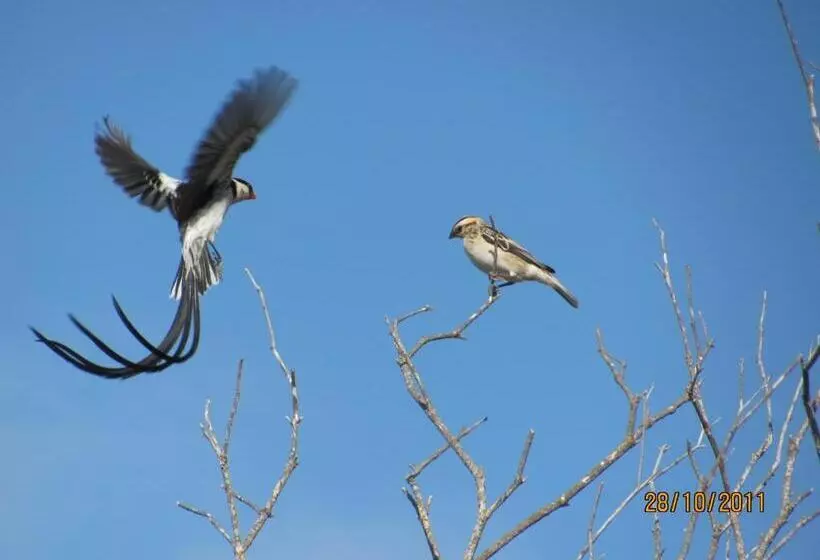 Majatalo At Whale Phin Guest House