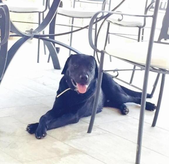 بنسيون B&b Marine Park