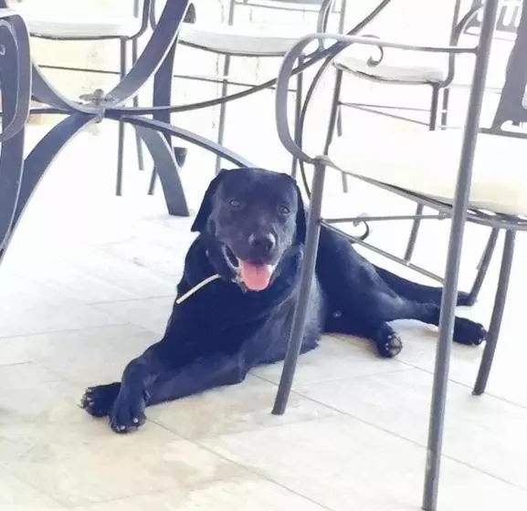 پانسیون B&b Marine Park