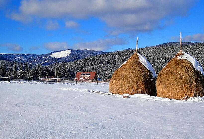 Pensiunea Smida Park