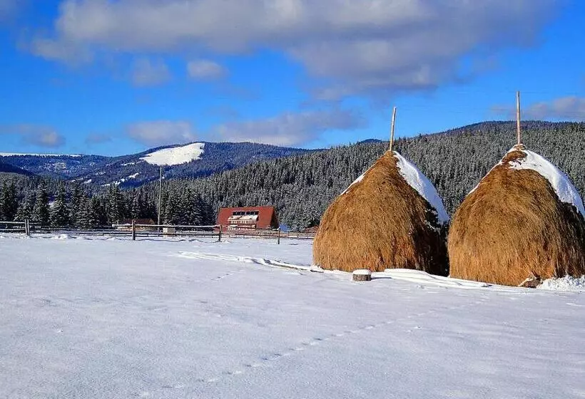 Pensiunea Smida Park