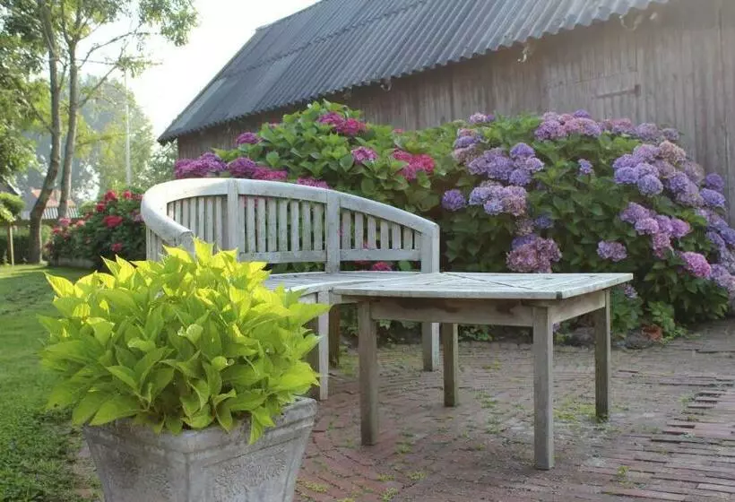 Wartena Hoeve   Vega B&b