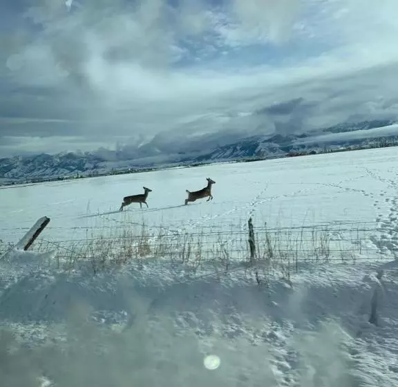 تختخواب و صبحانه Fox Hollow Inn