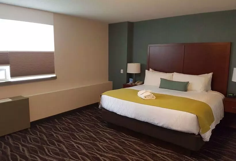 Best Western Plus Durham Hotel & Conference Centre