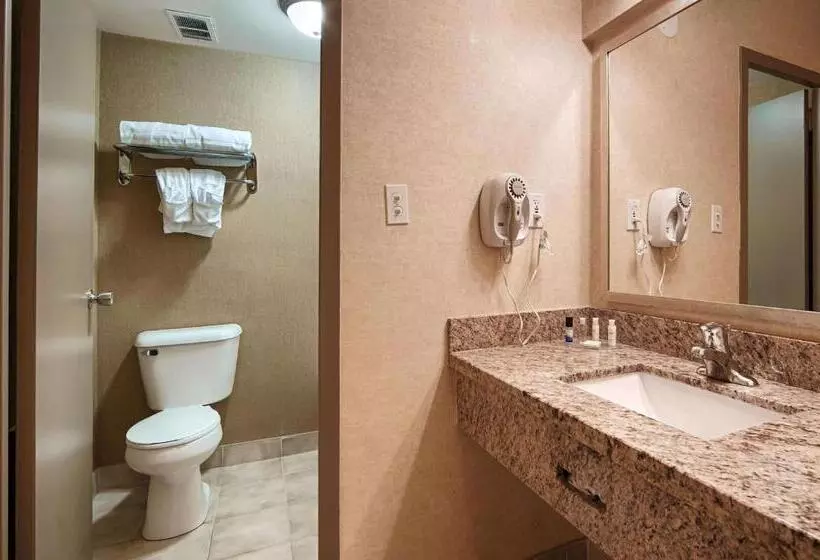 Best Western Plus Durham Hotel & Conference Centre