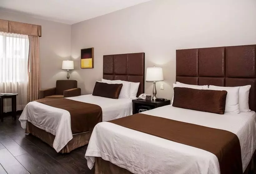 ホテル Best Western Plus Monterrey Airport