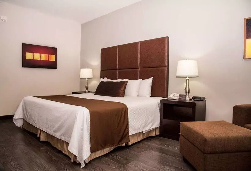 ホテル Best Western Plus Monterrey Airport