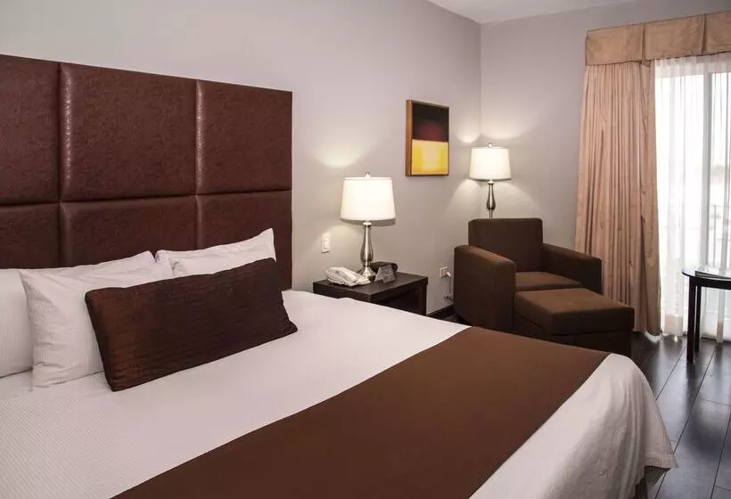 ホテル Best Western Plus Monterrey Airport