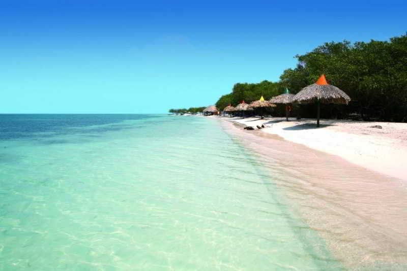 호텔 Decameron Isla Palma