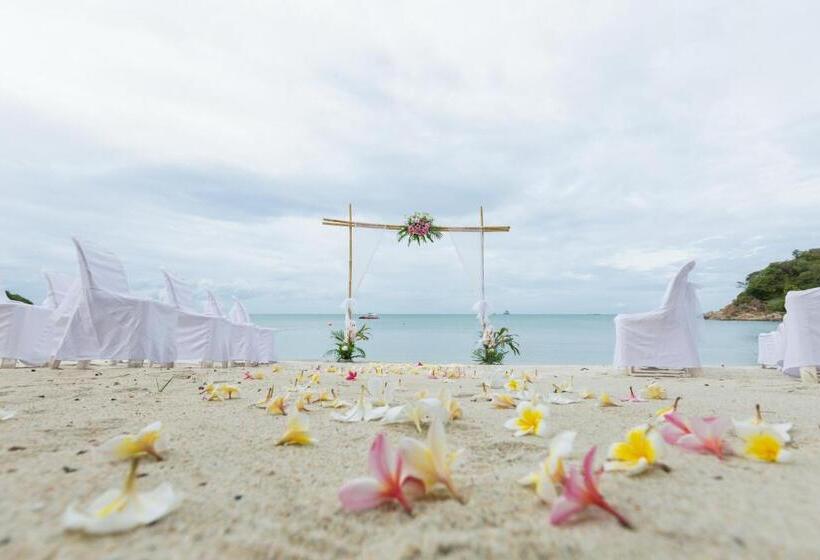 渡假胜地  The Bay Samui