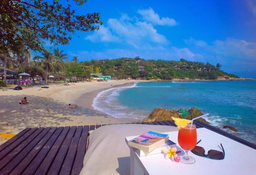 渡假胜地  The Bay Samui