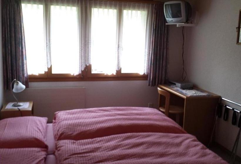 호스텔 Gastwirtschaft Hornbach Pinte