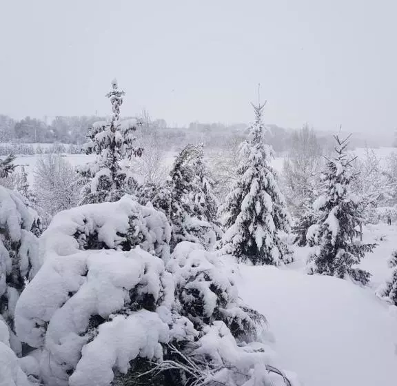 ユースホステル Vesyolaya Rochsha