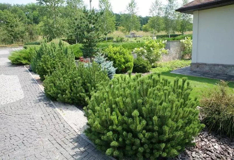 ユースホステル Vesyolaya Rochsha