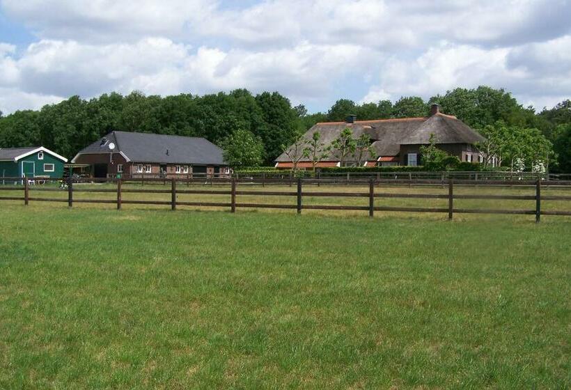 B&b Farmhouse De Loksheuvel