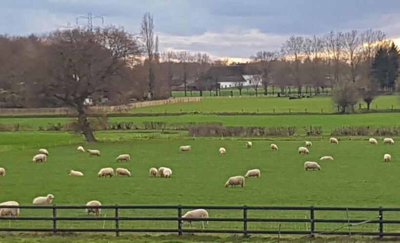 B&b Farmhouse De Loksheuvel