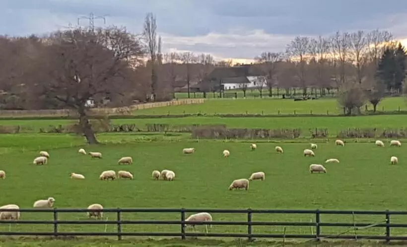 B&b Farmhouse De Loksheuvel