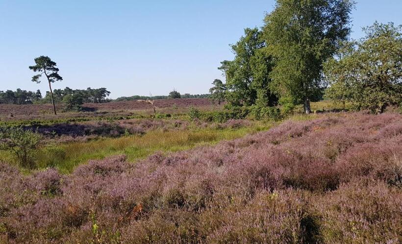 B&b Farmhouse De Loksheuvel