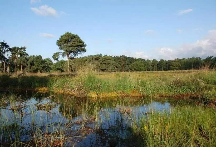 B&b Farmhouse De Loksheuvel