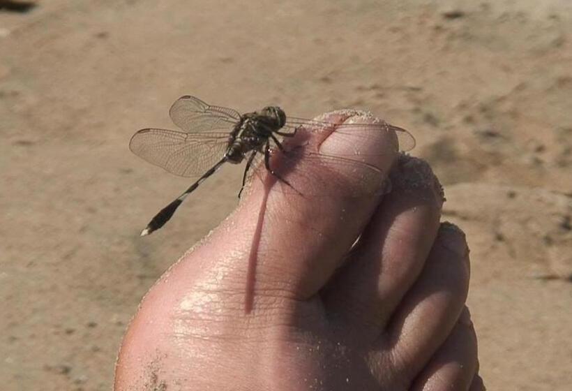 مبيت وإفطار Green Zion Garden