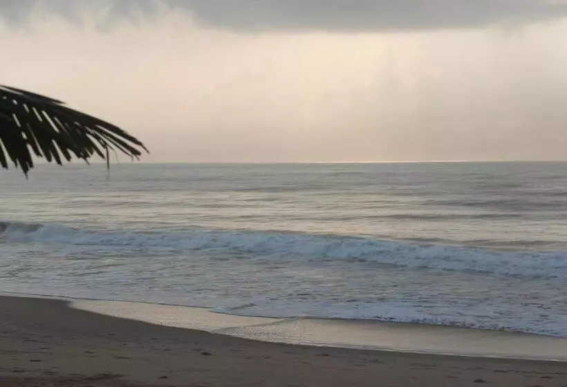 Aamiaismajoitus (B&B) Green Zion Garden