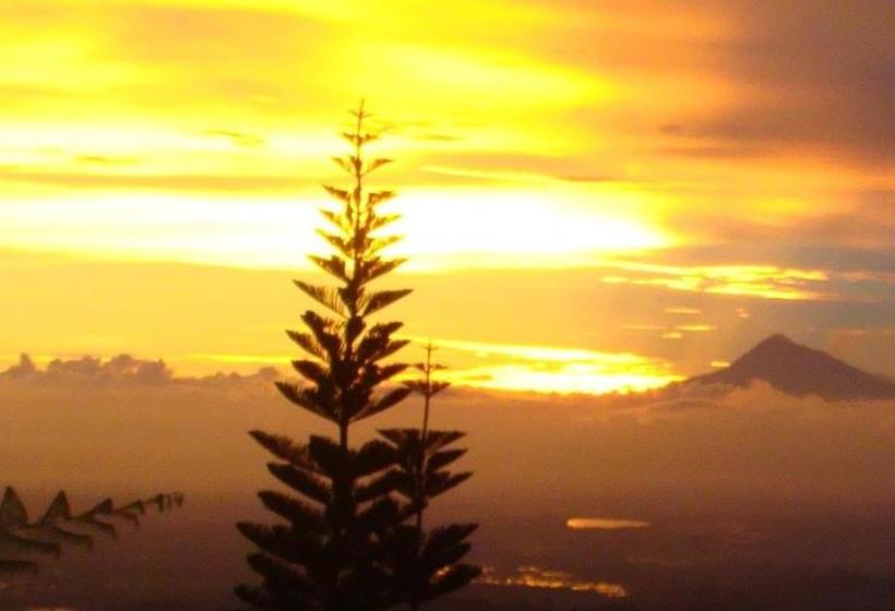 צימר Sukuh Cottage