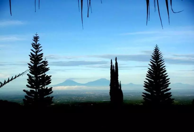 Bed & Breakfast Sukuh Cottage