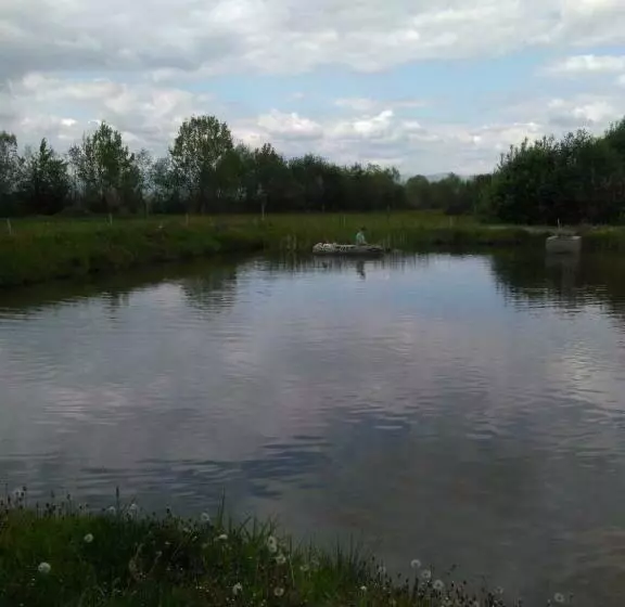 Ezüstfenyő Agroturisztikai Panzió