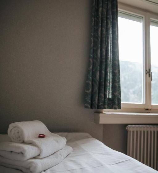 Отель Albergo Robiei