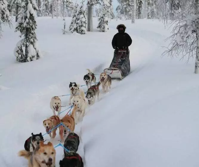 ホテル Aurora Mountain Lodge