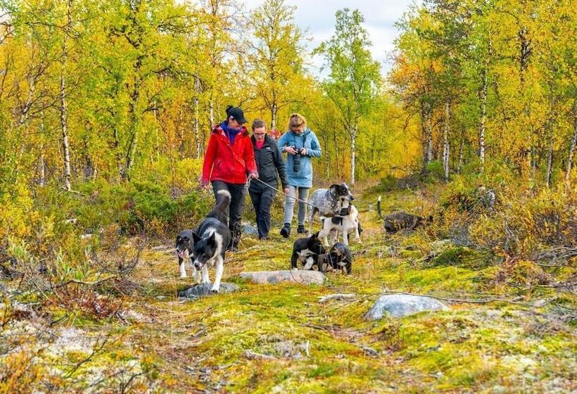 בית מלון כפרי Aurora Mountain Lodge