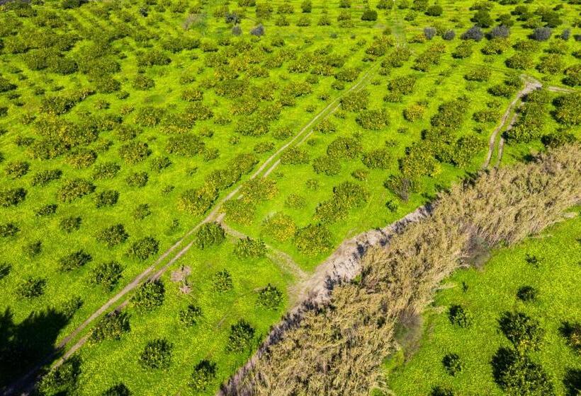 فندق Bioagriturismo Antica Sena