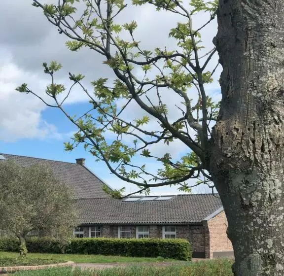 Hotelli Hof Van Alexander Boutique