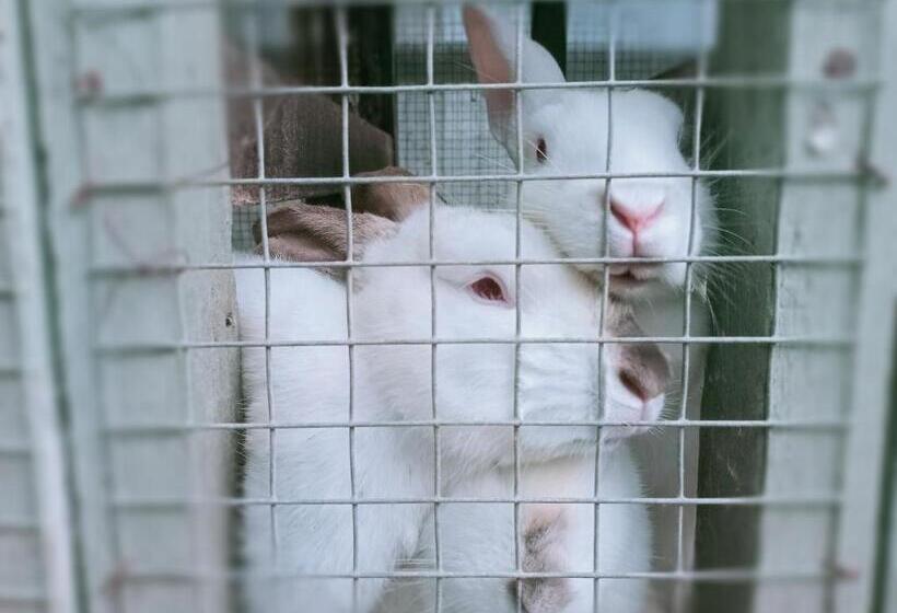 בית מלון כפרי Pondok Asri Tawangmangu