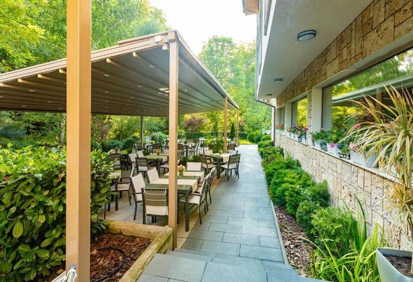 酒店 & Relax Zone Cattleya