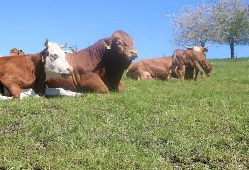 ホテル Schwoererhof