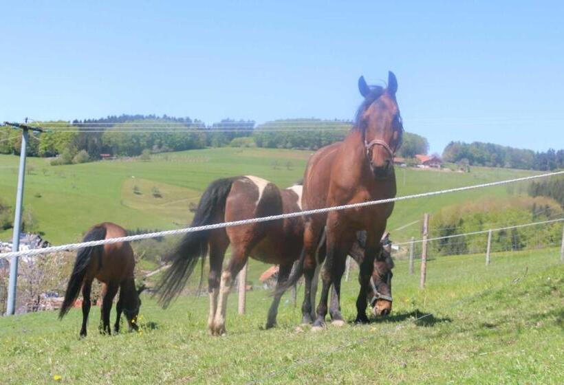 Отель Schwoererhof