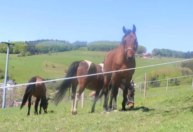 ホテル Schwoererhof