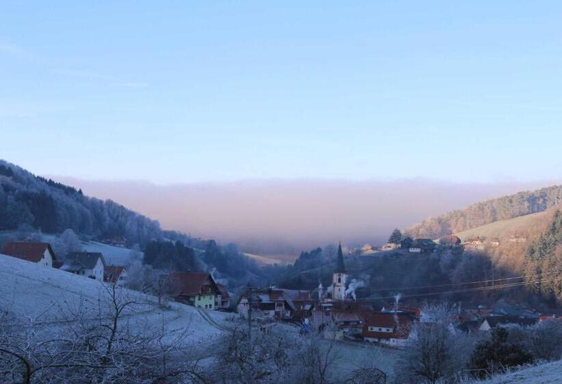 Отель Schwoererhof