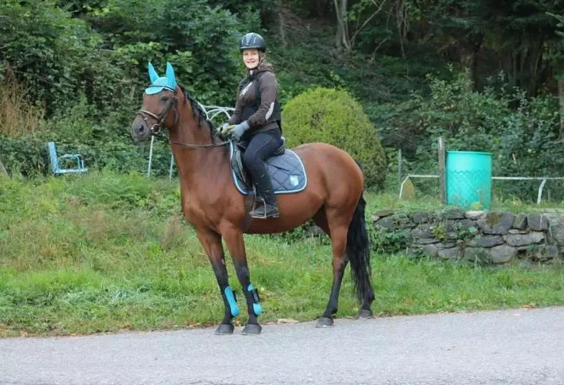 ホテル Schwoererhof