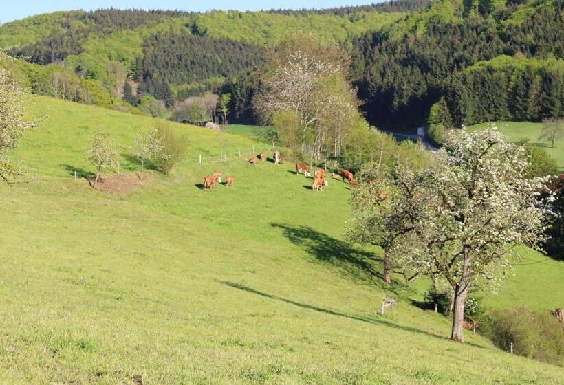 Отель Schwoererhof