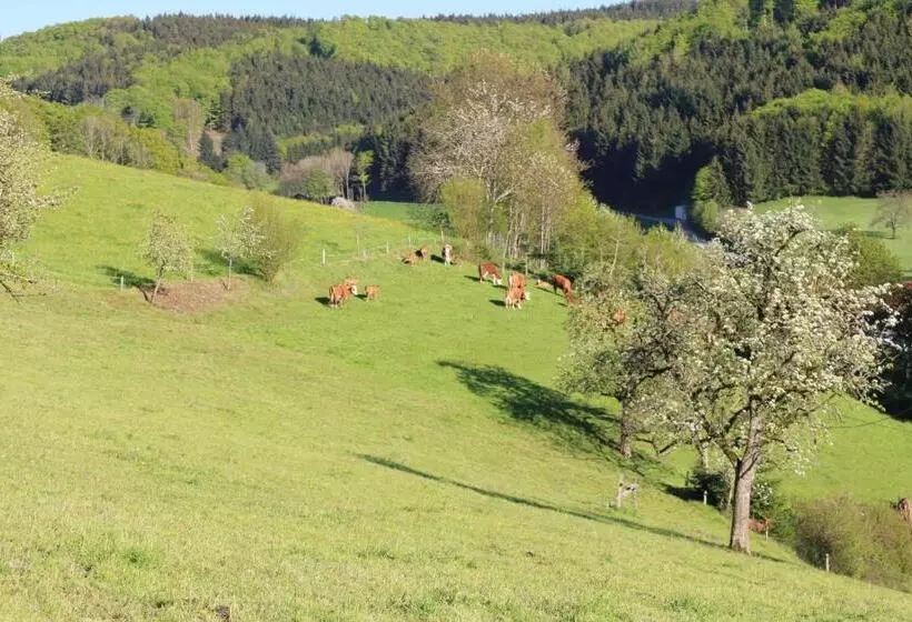 ホテル Schwoererhof