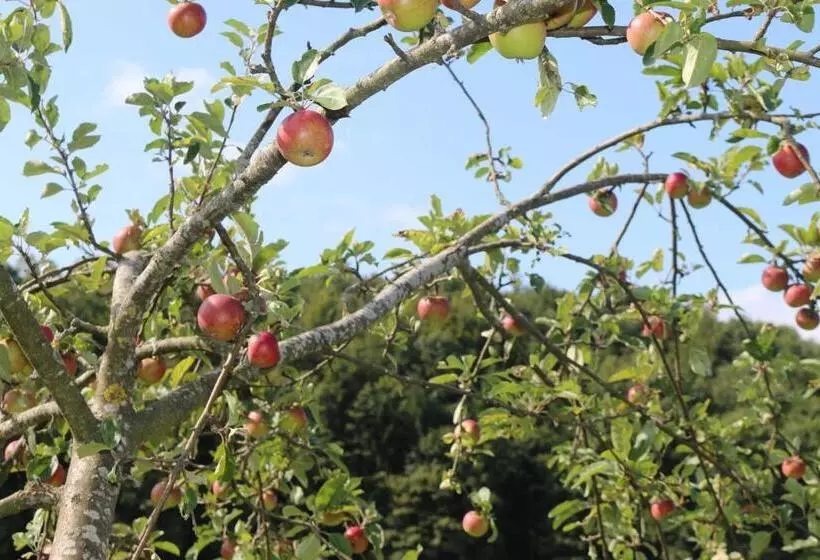 ホテル Schwoererhof