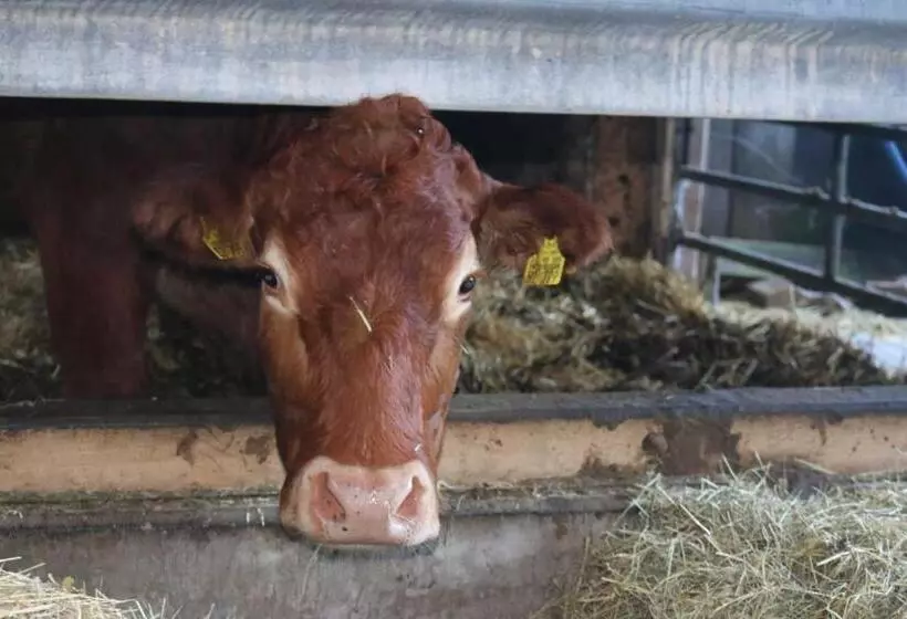 ホテル Schwoererhof