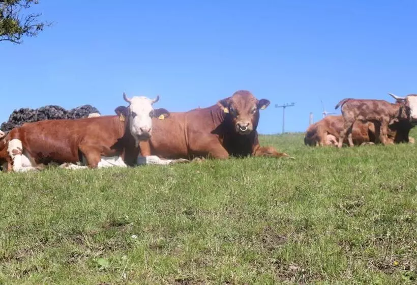 ホテル Schwoererhof