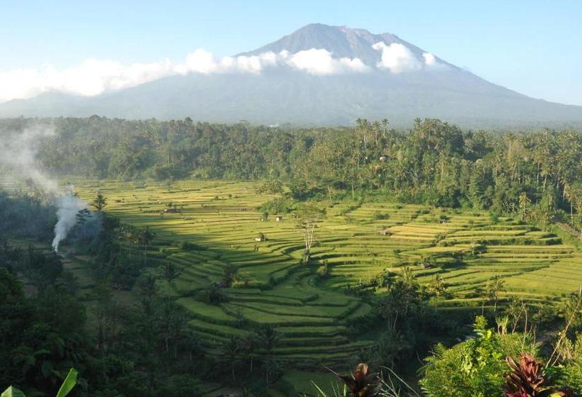 Mahagiri Resort & Restaurant